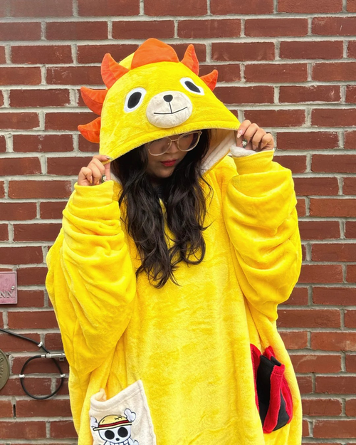 Reversible Blanket Hoodie